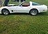 1981 Chevrolet Corvette for sale 100947010